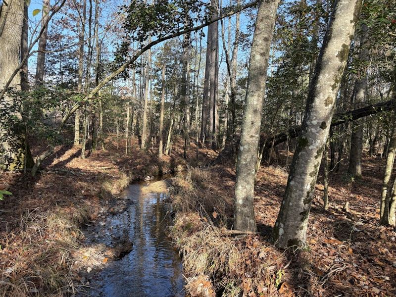 Greensville County Timberland : Skippers : Greensville County : Virginia