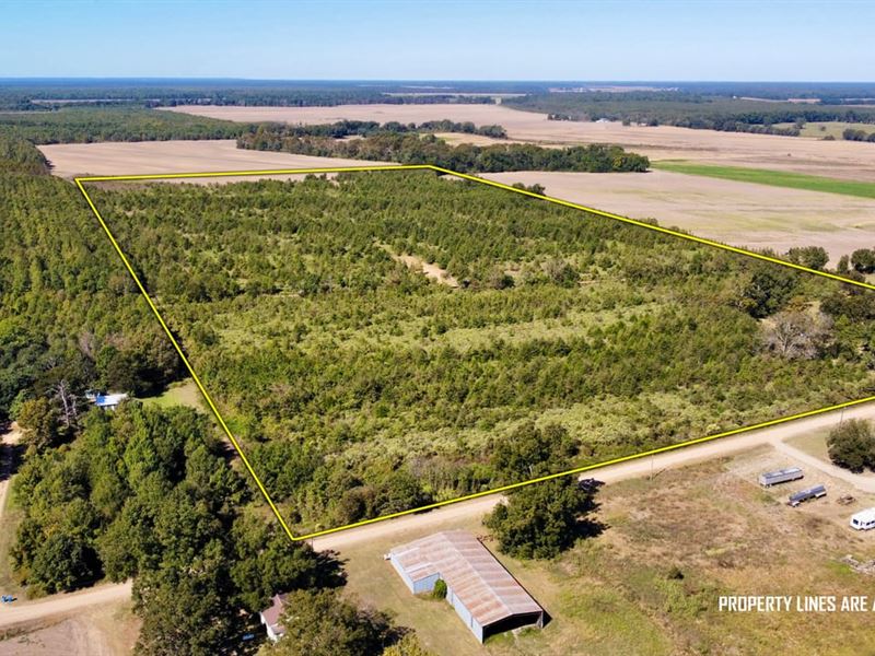 Chasing Tails in Tensas : Waterproof : Tensas Parish : Louisiana