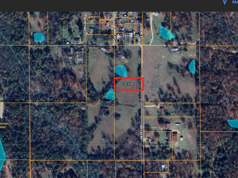 1.05 Private Acres, Broken Bow, OK : Broken Bow : McCurtain County : Oklahoma