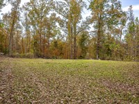 Prime Deer & Turkey Hunting Near Th : Vicksburg : Warren County : Mississippi