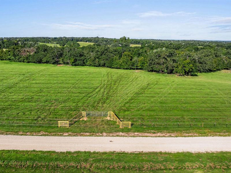 87+/- Ac in Serenity Oaks : Milano : Milam County : Texas