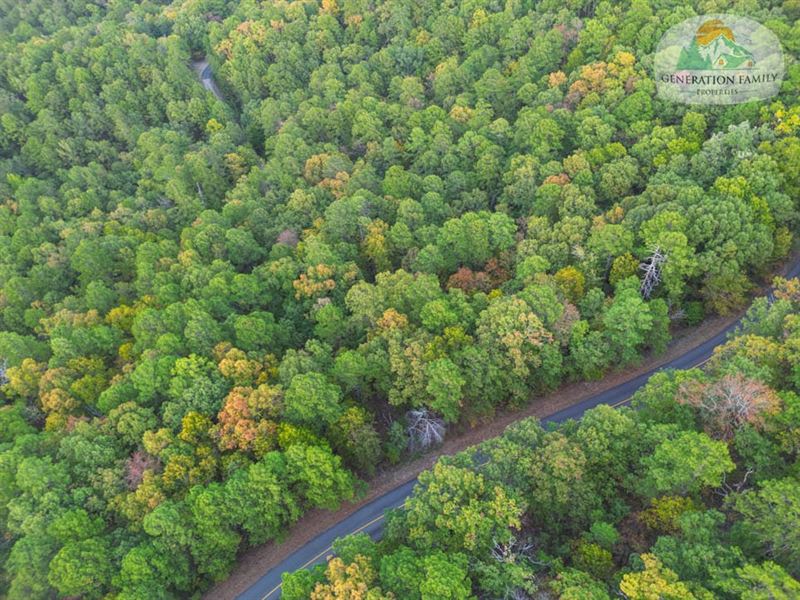 Lake Nearby on This Wooded Lot : Hot Springs Village : Saline County : Arkansas