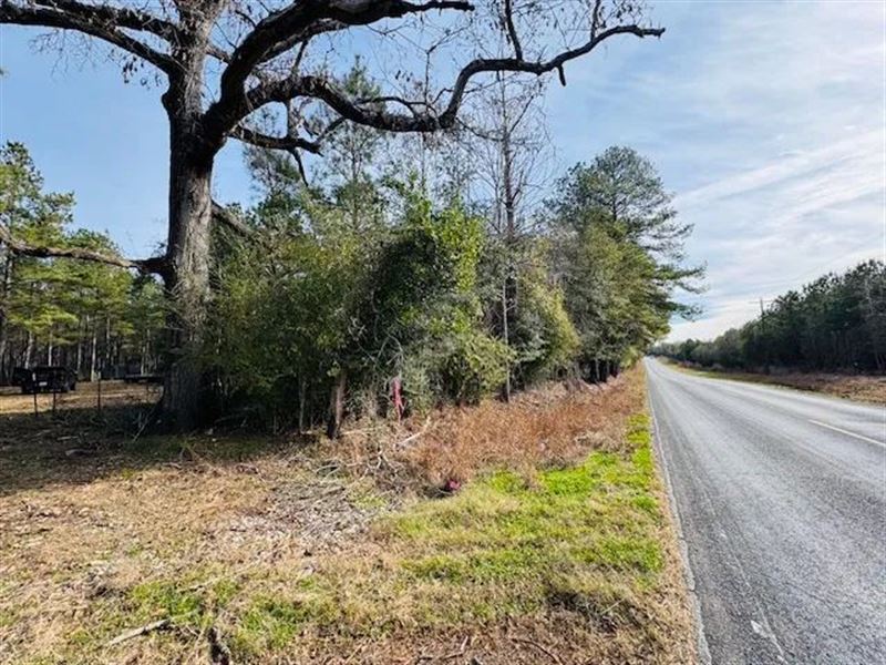 20.27 Surveyed Acres On Hwy 440 : Frankliton : Washington Parish : Louisiana