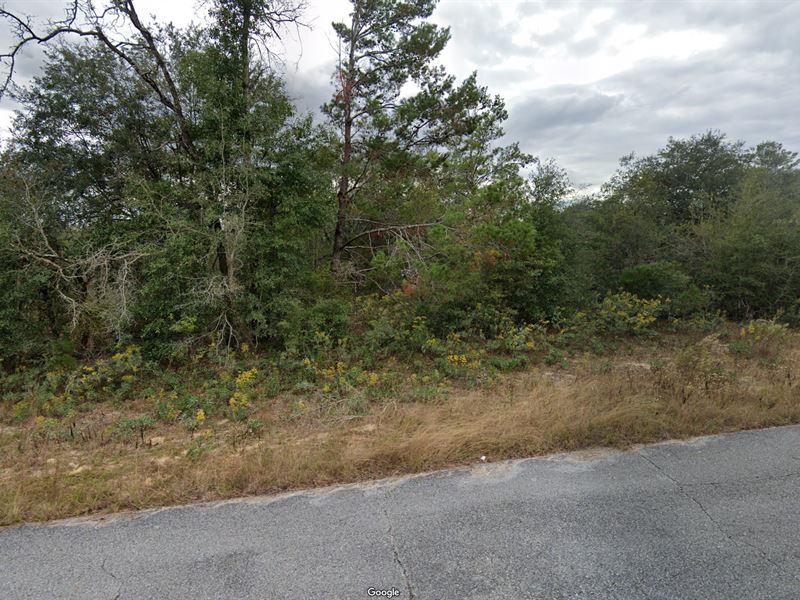 Paved Lot Near Waterfall & Trails : Chipley : Washington County : Florida