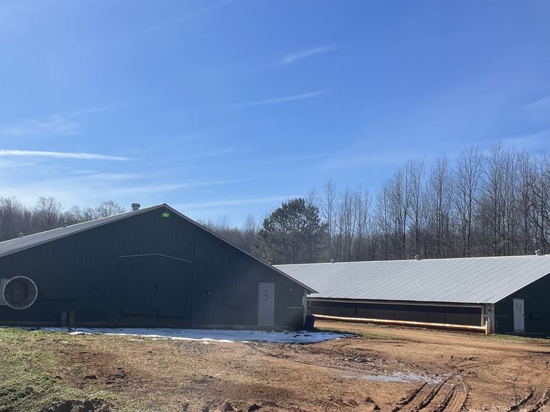 Great Income Producing Farm : Homer : Banks County : Georgia