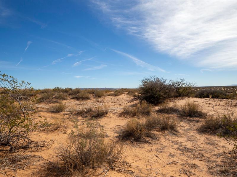 .83 Acres Outside of El Paso : El Paso : El Paso County : Texas