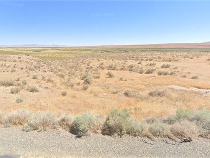 Massive 40 Acre Parcel Available : Galconda : Humboldt County : Nevada