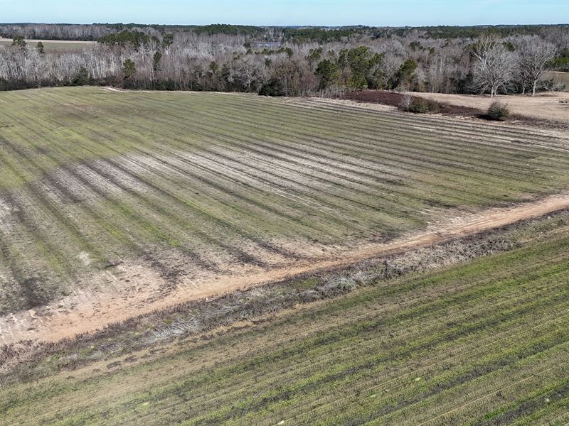 60 Acres in Irwin County, GA : Irwinville : Irwin County : Georgia