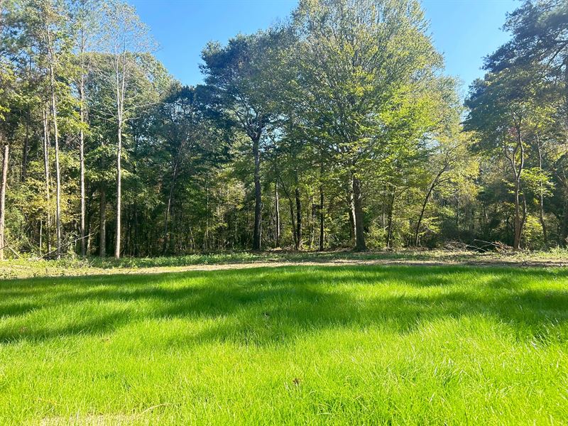 68 Acres in Copiah County, MS : Georgetown : Copiah County : Mississippi