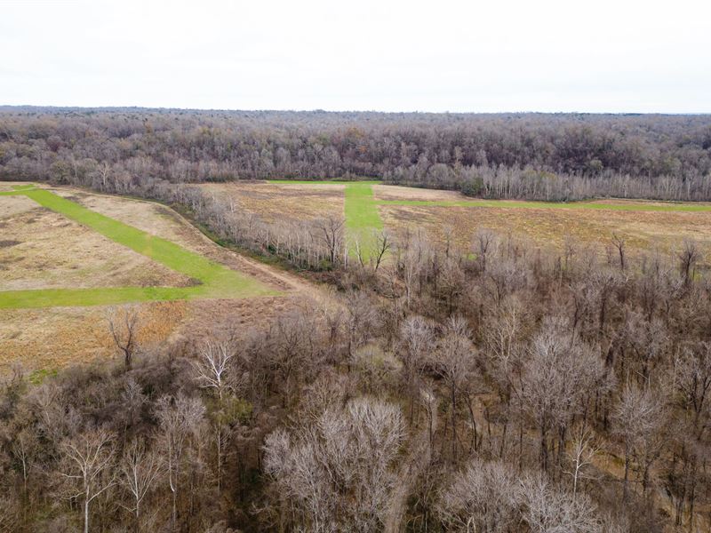 One Equity At Share Southside Land : Lorman : Jefferson County : Mississippi