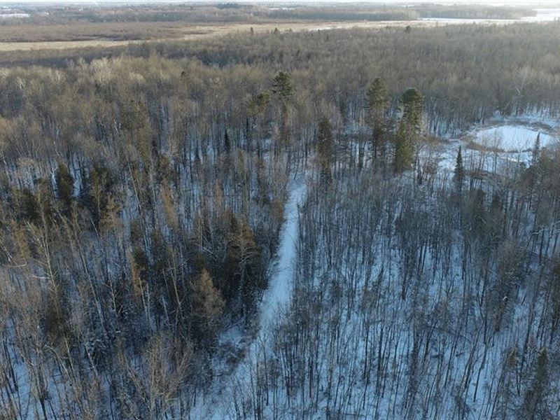 100 Acres Chippewa County : Cornell : Chippewa County : Wisconsin