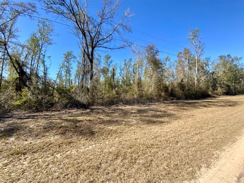 Olustee Dr 20.82 Acre Homesite : Lee : Madison County : Florida