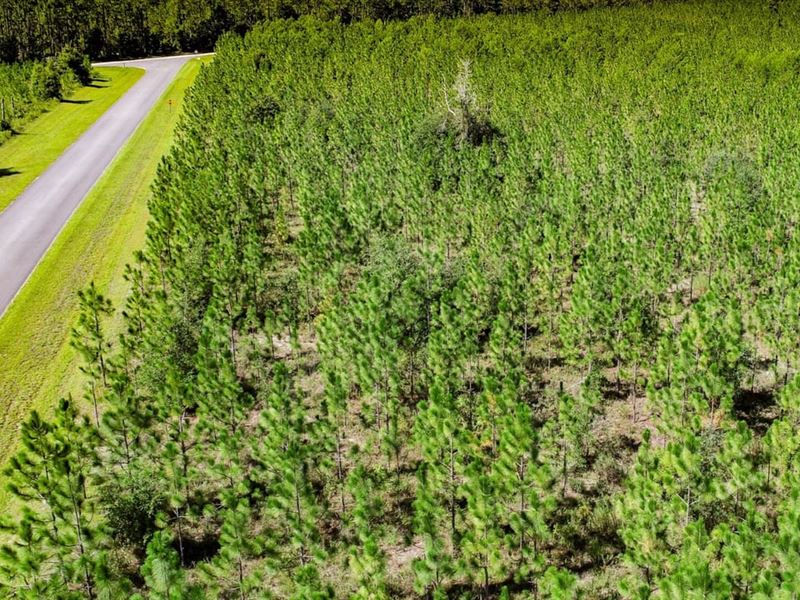 20 Ac Burnt Bridge Farm Nw, Homesi : Telogia : Liberty County : Florida