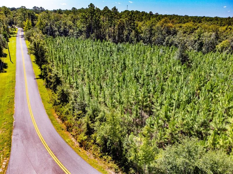 8 Ac Homesite Near Hosford, Fl, Pl : Hosford : Liberty County : Florida