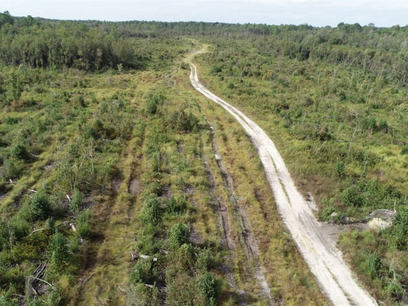 156 Ac Timber & Recreational Invest : Bonifay : Washington County : Florida