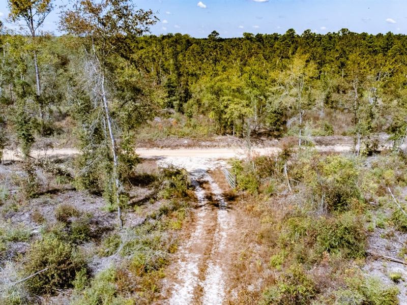 15.5 Ac Rural Homesite Mini-Farm : Bonifay : Holmes County : Florida