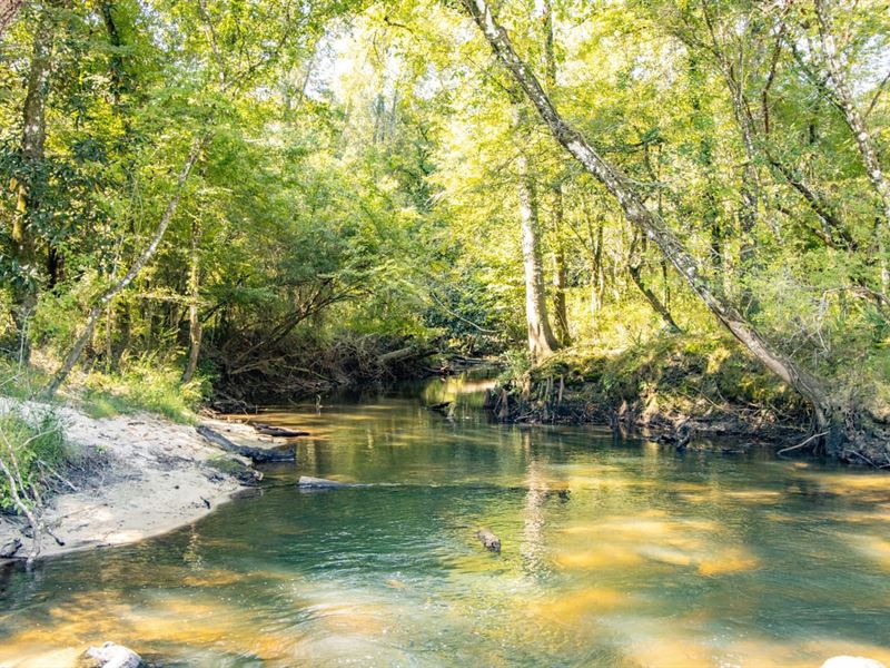 17 Ac Tenmile Creek Homestead, Cr : Bonifay : Holmes County : Florida