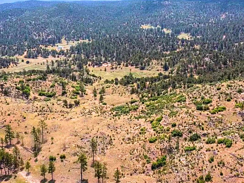 2.5 Acres with No HOA in Colorado : Cotopaxi : Fremont County : Colorado