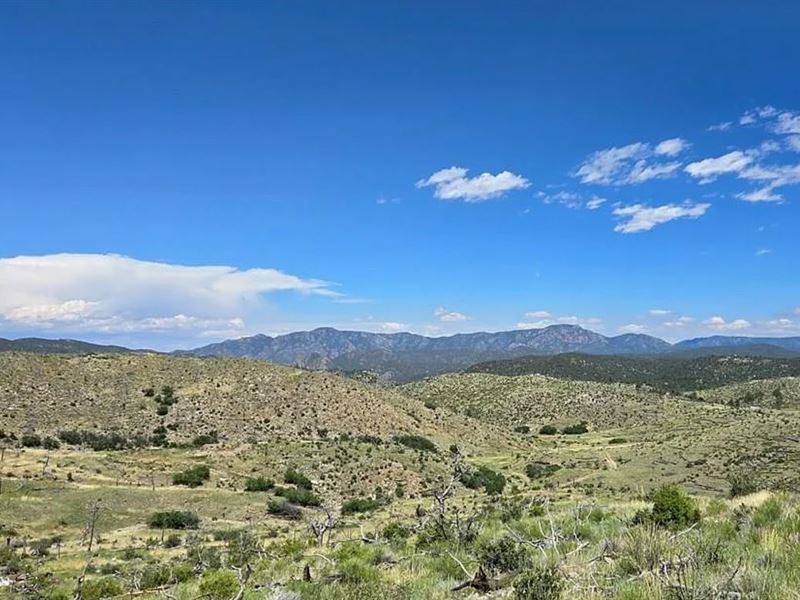 2 Acres Mountain Lot with Views : Cotopaxi : Fremont County : Colorado