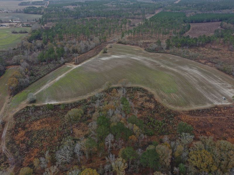 40 Acres- Multi-Use Farm : Meigs : Colquitt County : Georgia