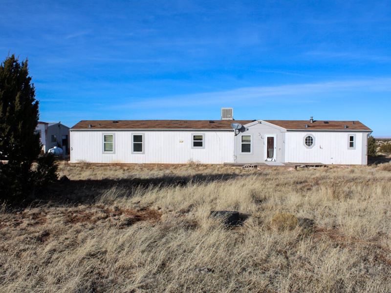 Mountainair Home with 80 Acres : Mountainair : Torrance County : New Mexico