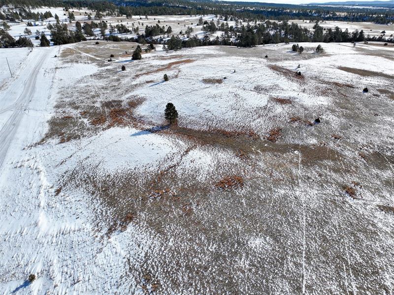 Custer County Acreage : Custer : Custer County : South Dakota