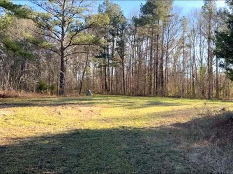 65 Acres in Rankin County in Pearl : Pearl : Rankin County : Mississippi