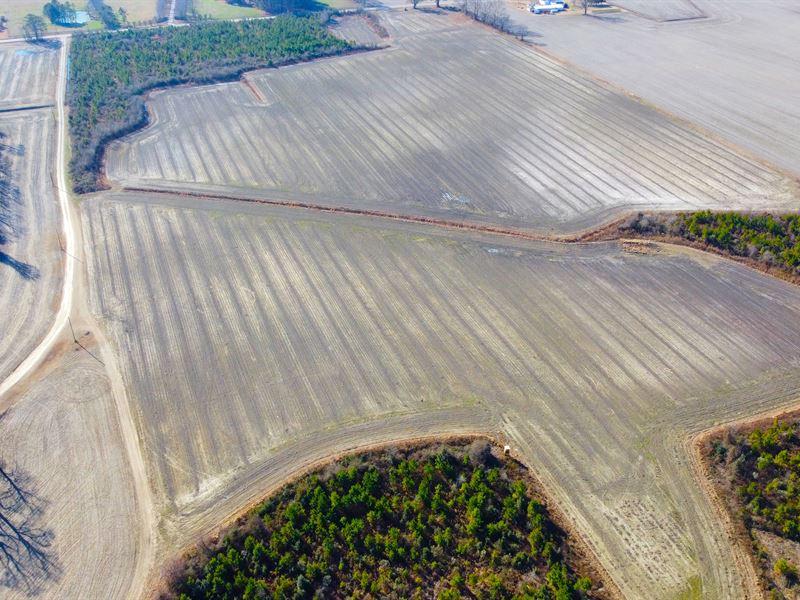 Vacant Lot in Macclesfield, NC : Macclesfield : Edgecombe County : North Carolina