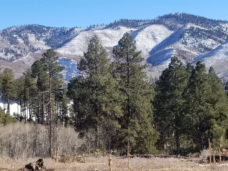 Jack Creek Ranch : Bayfield : La Plata County : Colorado