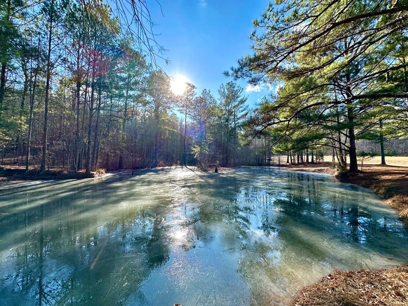 Glencoe Homesite : Glencoe : Etowah County : Alabama