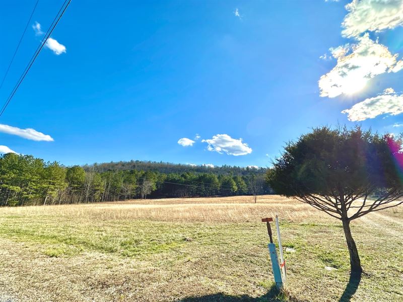 Glencoe Homesite : Glencoe : Etowah County : Alabama