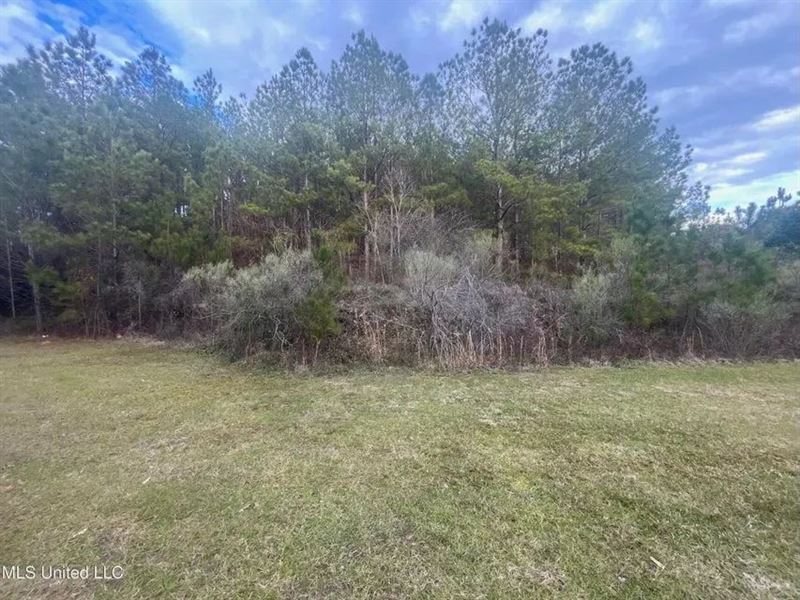 2 Acre Homesite in Wesson, MS : Wesson : Copiah County : Mississippi