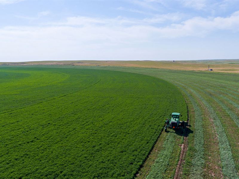 Muleshoe Land and Cattle Co Ranch : Torrington : Goshen County : Wyoming