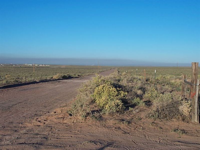 1.25 Acre in Navajo County, AZ : Sun Valley : Navajo County : Arizona