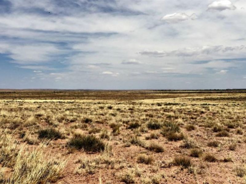 2.52 Acre in Navajo County, AZ : Sun Valley : Navajo County : Arizona