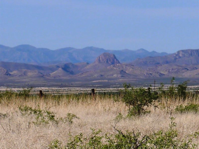 .43 Acre in Cochise County, AZ : Douglas : Cochise County : Arizona