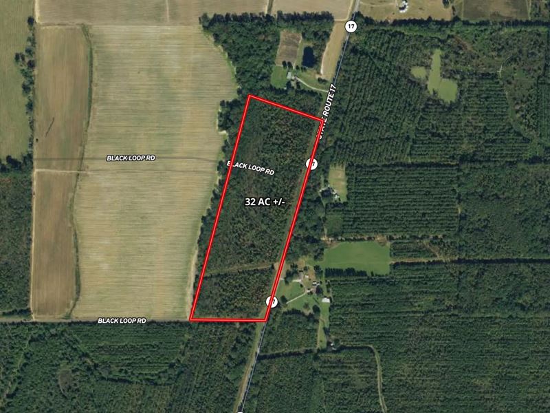 La, West Carroll 32 Acres : Darnell : West Carroll Parish : Louisiana