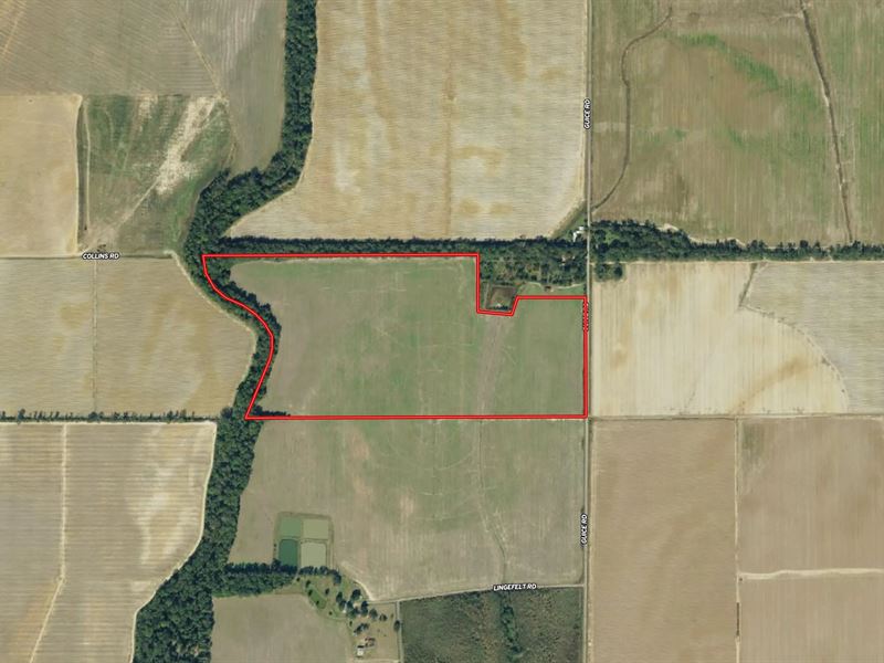 La, West Carroll 76 Acres : Epps : West Carroll Parish : Louisiana