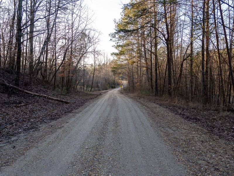 140 Acres Russellville : Russellville : Franklin County : Alabama