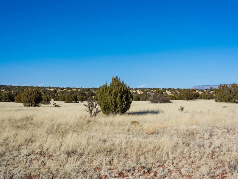 Wide Open Desert Land : Seligman : Yavapai County : Arizona