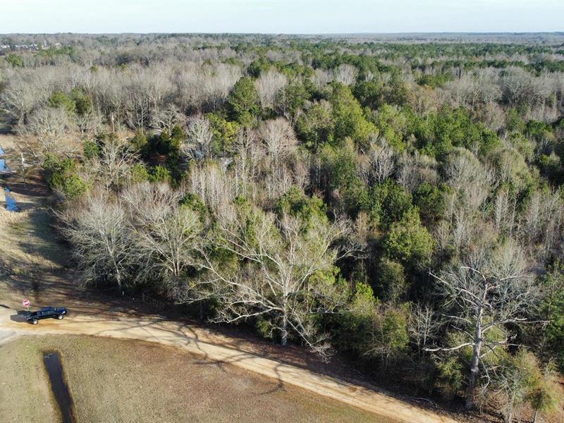 5 Acres Shorter. AL : Shorter : Lee County : Alabama