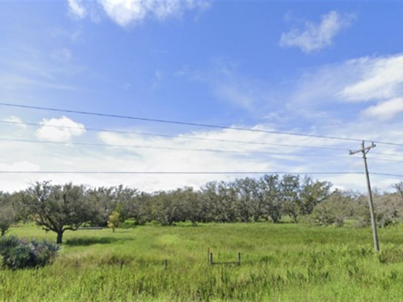 Wilderness Wonderland : Lake Wales : Polk County : Florida