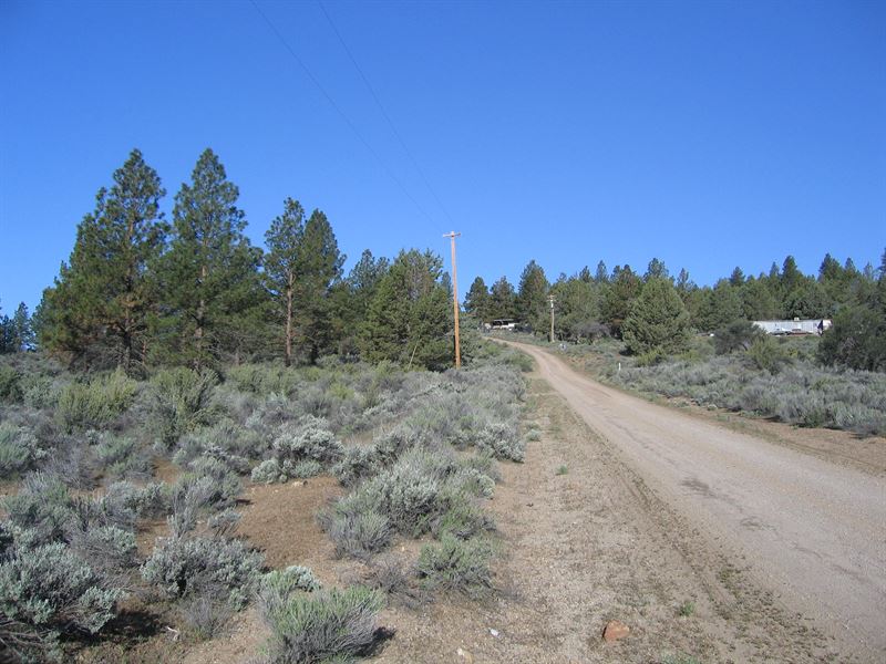 Buildable Paradise Awaits : Beatty : Klamath County : Oregon