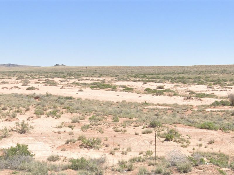 Come and Get It, 1.25 Acre Lot, AZ : Sun Valley : Navajo County : Arizona