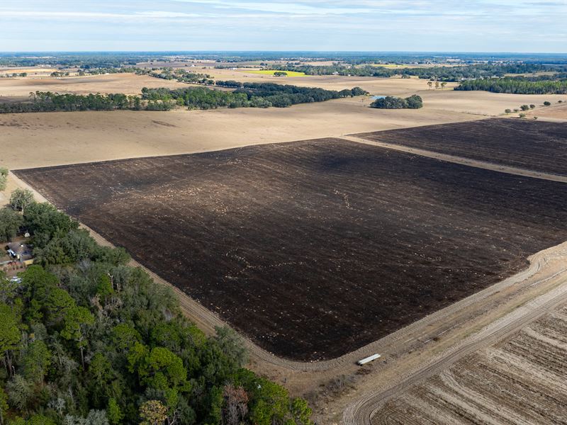 600 Acre Marion County Farm : Dunnellon : Marion County : Florida