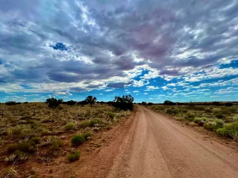 Turn Key Desert Living $375-$550/Mo : Snowflake : Navajo County : Arizona