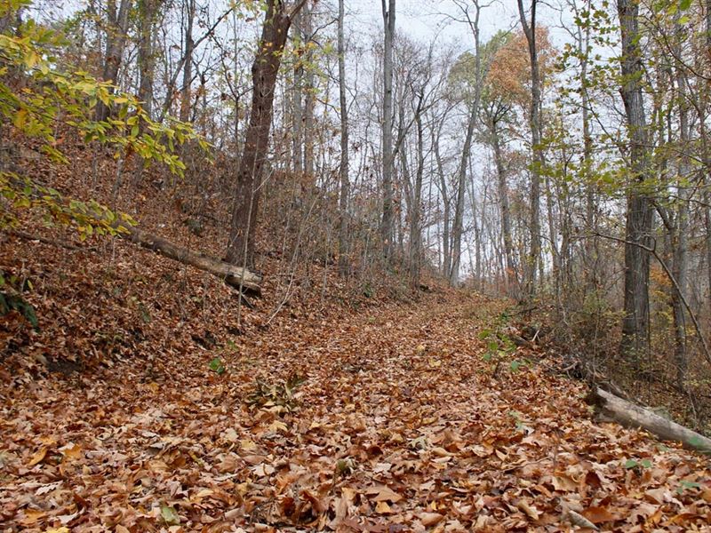 Hunting Land, no Credit Check : Hyden : Leslie County : Kentucky