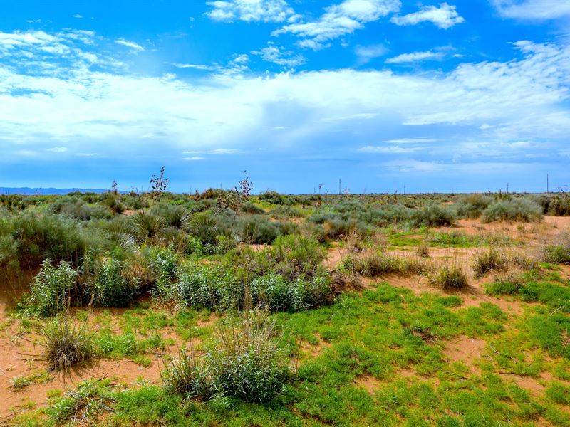 Unrestricted Land Near El Paso, TX : El Paso : El Paso County : Texas