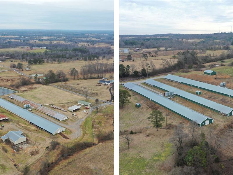 New Price, 4P Broiler Farm : Boaz : Etowah County : Alabama