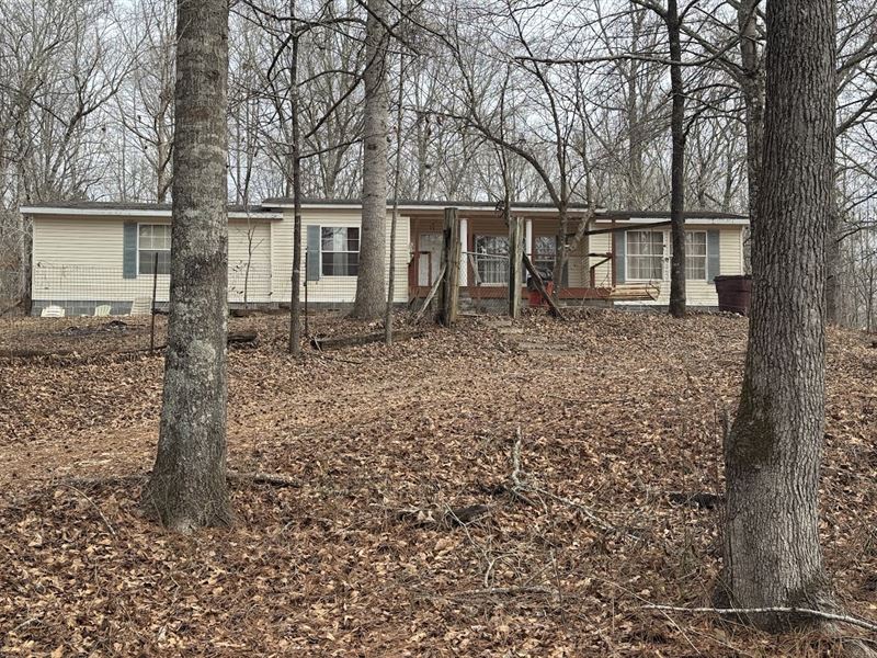 68 Acres CR 66 with Mobile Home : Goodwater : Coosa County : Alabama